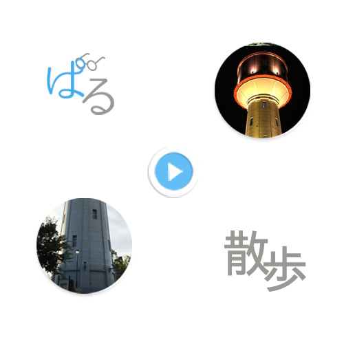 パル散歩